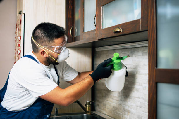 Pest Control Cost in Mclean, VA