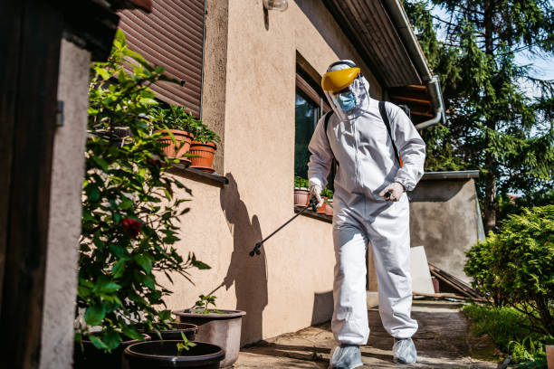 Best Termite Control Services  in Mclean, VA
