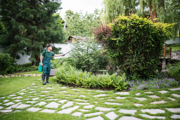 Best Ant Control Services  in Mclean, VA