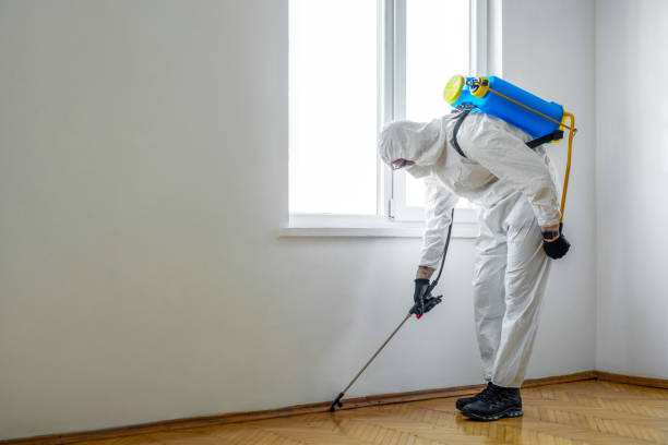 Best Mosquito Control Services  in Mclean, VA