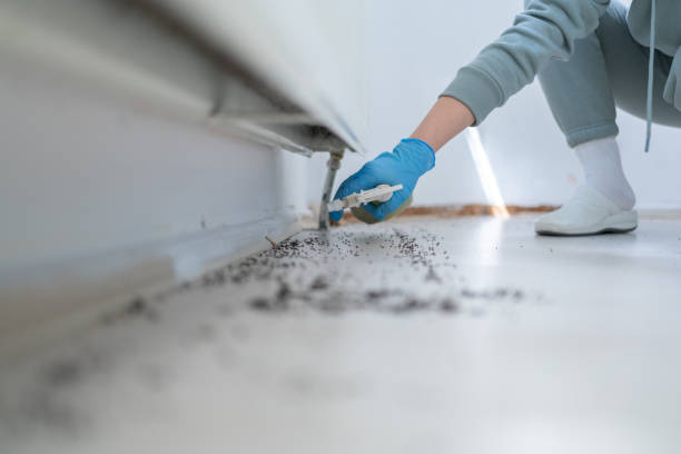 Best Pest Prevention Services  in Mclean, VA